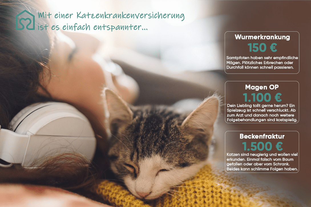 Jetzt Sparen! TOP Tierversicherung Für Deinen Hund Oder Deine Katze ...